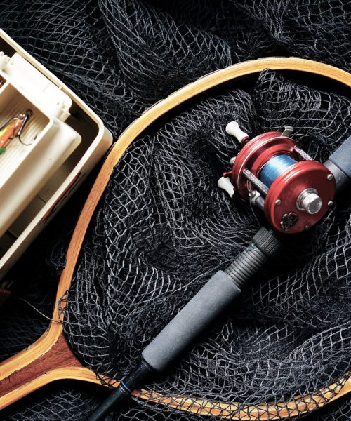 fishing, fishing rod, fishing gear-1572408.jpg